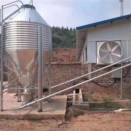 养猪场60料线下料三通自动化料线青岛山东养猪设备养猪料线安装