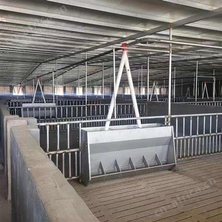 猪舍全自动料线 猪场料线 干湿喂料器 养猪自动化设备 华清