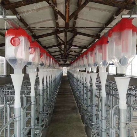 华清猪场设备 自动化料线 15吨热镀锌板料罐厂家发货