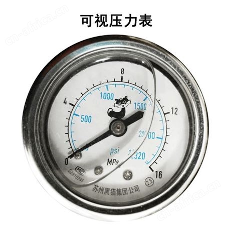 黑猫 ECC2516/ECC2011 清洗机 电动汽油机  高压力商用洗车机