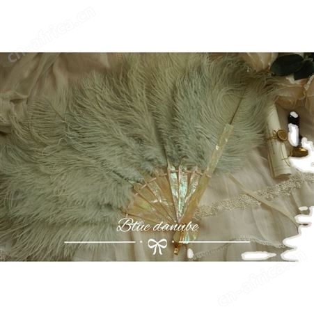翩翩二团复古毛扇vintage仿贝母扇古典折扇