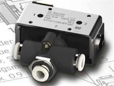 610888,AVS ROEMER,阀头