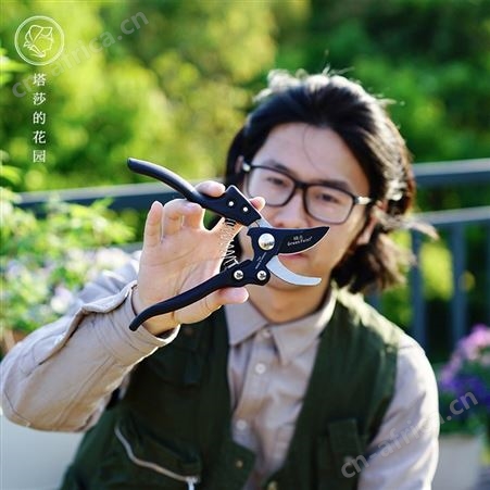 塔莎的花园 园林剪刀 园艺树木剪枝修枝剪 园林花剪工具
