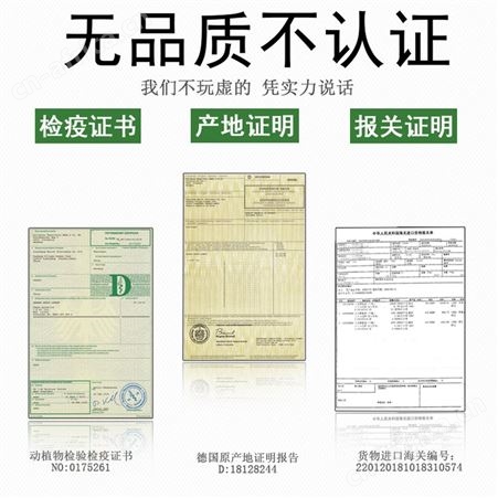 奢彩 进口榉木制画架 双手摇平立两用 支架式可升降折叠画板套装素描国油画 实木多功能落地大画架子美术