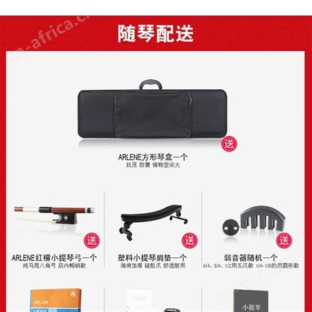梵阿玲级小提琴初学者成人儿童入门演奏大学生纯手工实木乐器