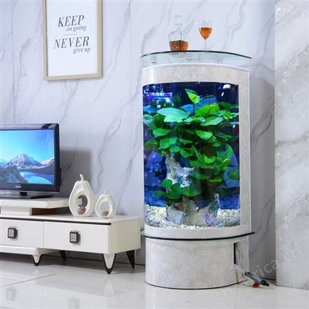 金鱼缸客厅小型半圆形玻璃水族箱圆柱立式家用落地大型生态免换水