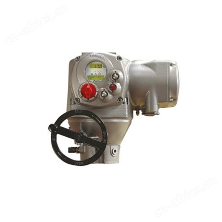 进口biffi  EFS 2000  执行器