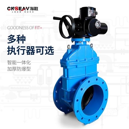 电动法兰暗杆 Z945X-16Q市政污水远程调节弹性座封软密封闸阀