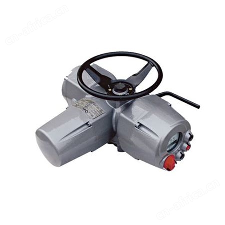 进口biffi  EFS 2000  执行器
