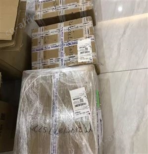 RIEGLER226.01-4,5 103977安全阀