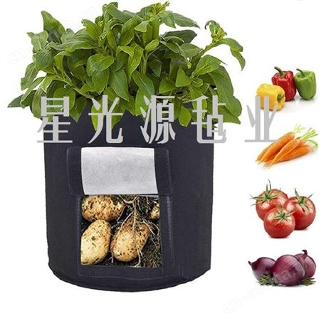 室内方形毛毡种植袋 土豆种植绿色无纺布毛毡桶