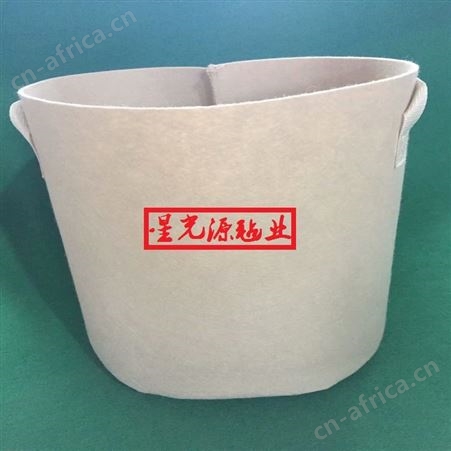 毛毡植物袋立体花盆壁挂式植树袋植树袋无纺布美植袋