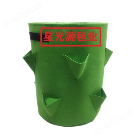 毛毡植物袋立体花盆壁挂式植树袋植树袋无纺布美植袋
