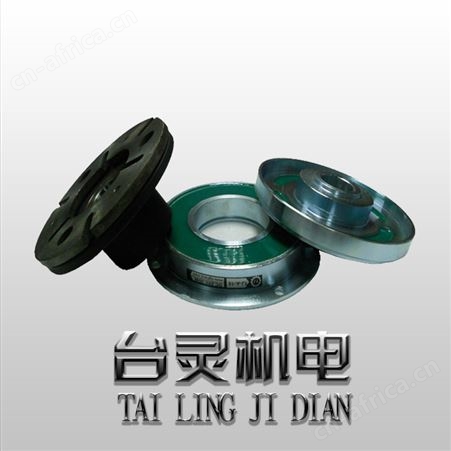 轴承安装法兰式电磁离合器TL-A2型,24v电磁离合器型号