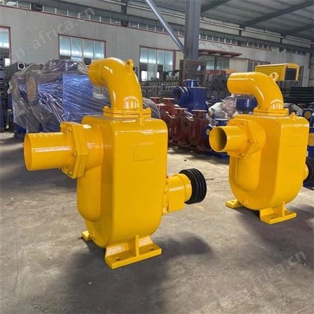 工程塑料自吸泵 沉淀淤泥自吸泵 柴油机自吸泵 供应销售