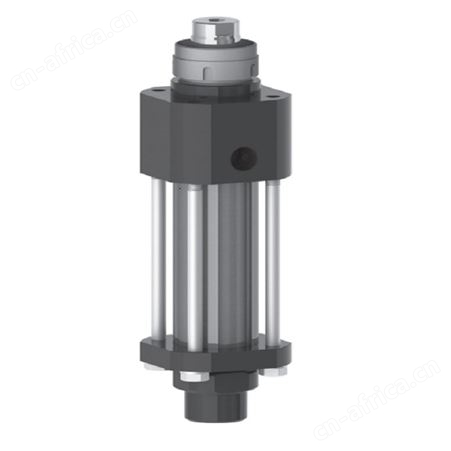 Digitronic 数字凸轮开关单元 1756-DICAM;Ausbaust:DC1756/J5C130S 德国进口