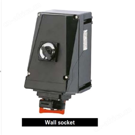 WOERNER P42AGS德国进口传感器