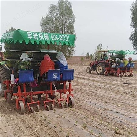 土豆种植机 三行蔬菜移栽机 秧苗移栽机甘蓝移栽机