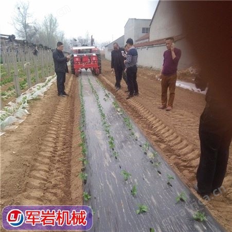 番茄种植机_军岩_辣椒蔬菜移栽机_货源产地精选爆款