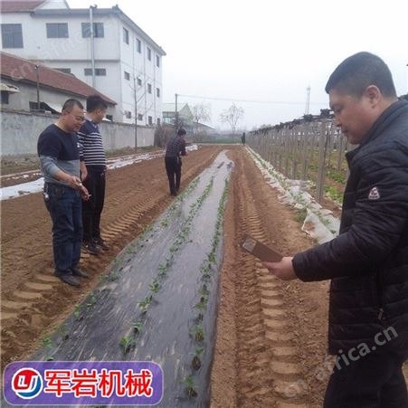 辣椒蔬菜移栽机_军岩_红薯种植机_2020新款支持定制