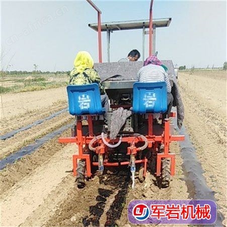辣椒移栽机 白菜移栽机 甘蓝移栽机 各种蔬菜移栽机 青州市岩机械荣誉出品