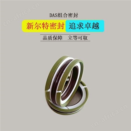 活塞用组合密封油封DAS型A新尔特密封圈加工