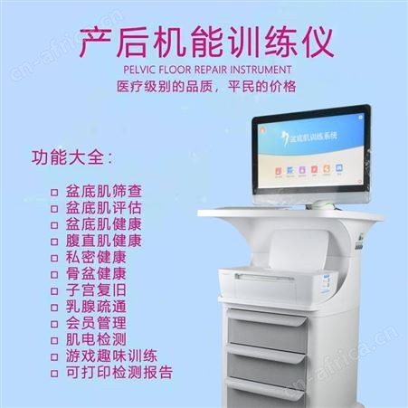 盆底肌修复仪 盆骨腹直肌修复仪器 带电脑报告打印 保养修复仪