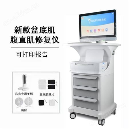 盆底肌修复仪 盆骨腹直肌修复仪器 带电脑报告打印 保养修复仪