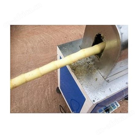 汇鑫供应ZC100全自动甘蔗削皮去皮机