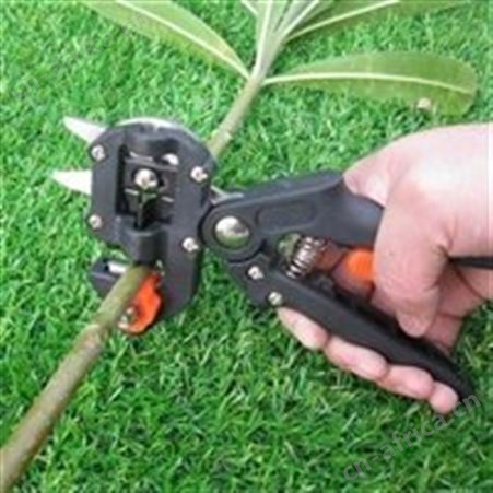 汇之鑫多功能嫁接工具 接果树嫁接剪厂家