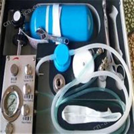 汇鑫矿用MZS-30型氧气复生器 便携式自动苏生器自救器