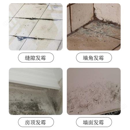 白色墙面除霉剂 大面积祛霉发霉清除工程装 地下室仓库除霉