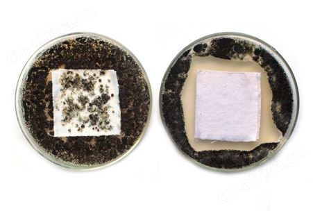 果冻胶防霉剂 啫喱骨胶防腐 纸张绒布皮革粘合 明胶水防霉