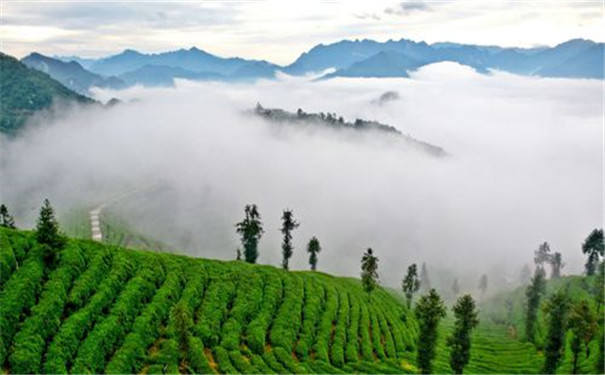 测土配方施肥仪