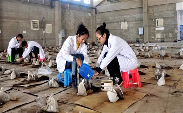 全项目土壤养分检测仪