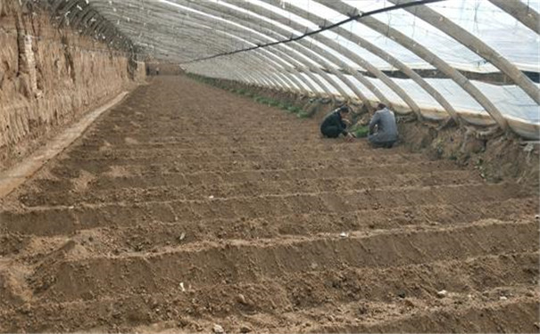 土壤盐分测定仪