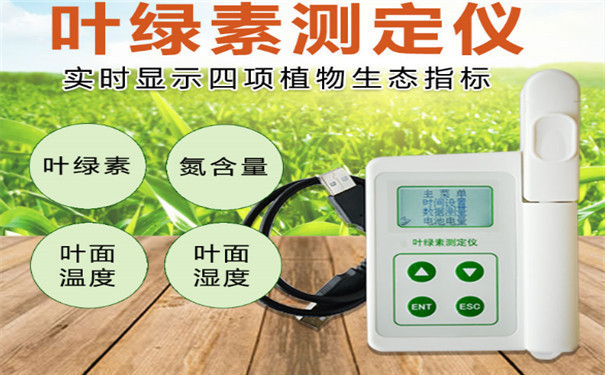 叶绿素检测仪