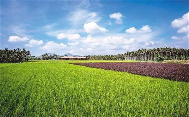 土壤养分测定仪