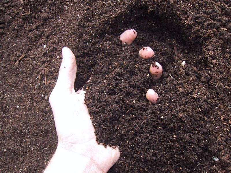 土壤水分分析仪