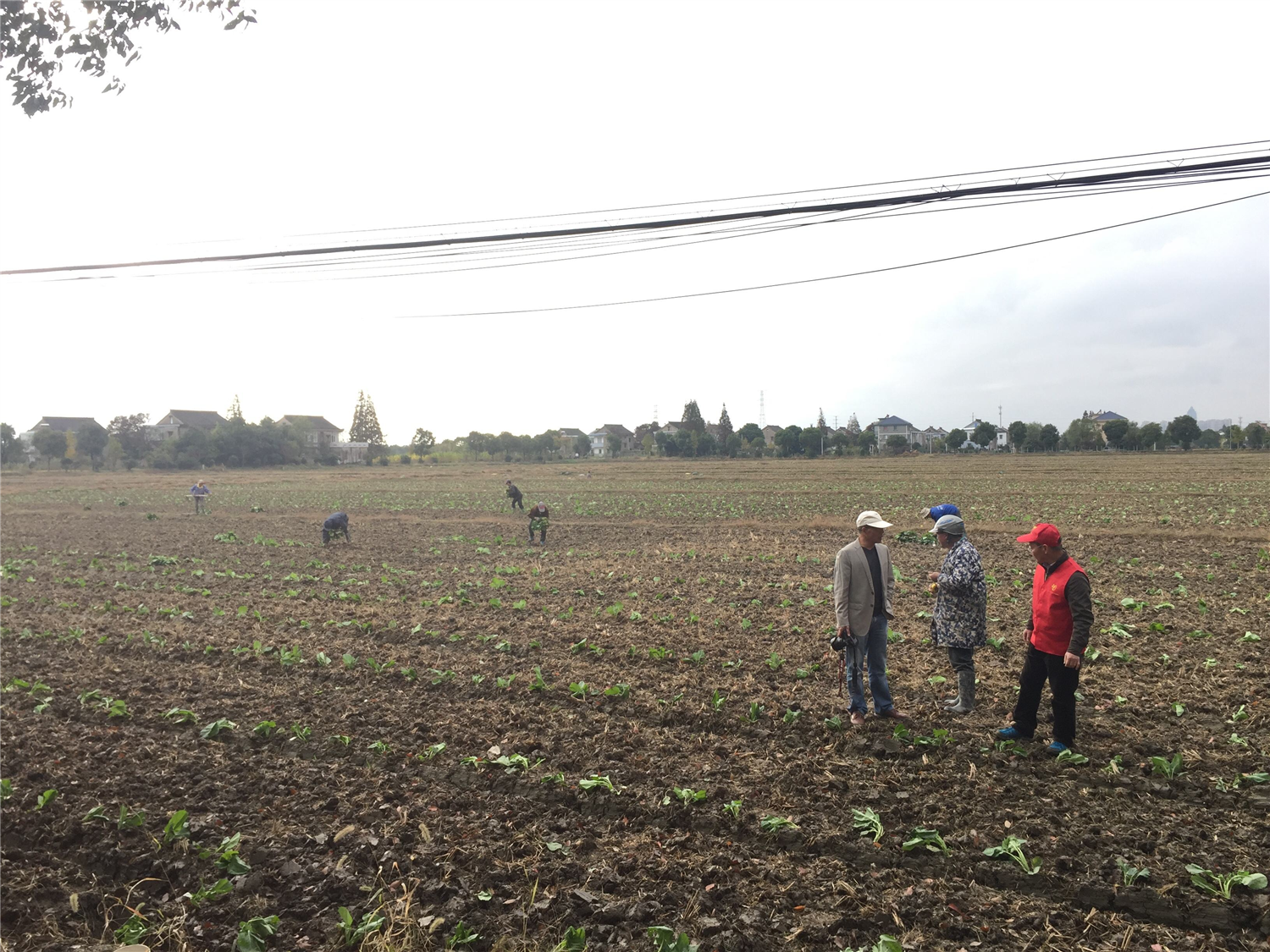土壤肥料测试仪