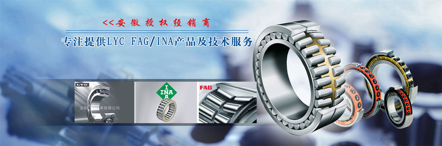 专注中南轴承_LYC行业领者