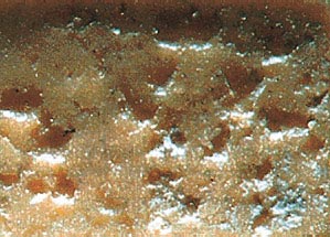 塑料轴承耐磨损性能