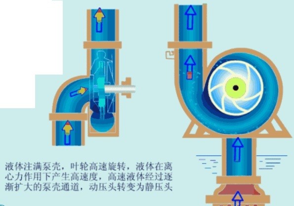 离心泵 离心泵