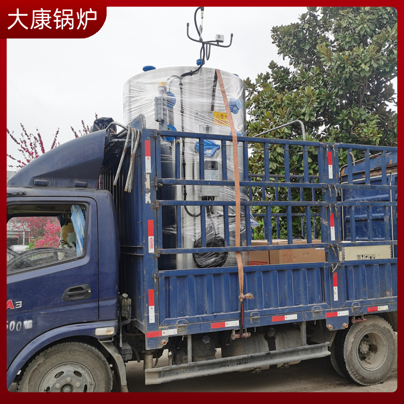 0.3吨液化天然气蒸汽发生器