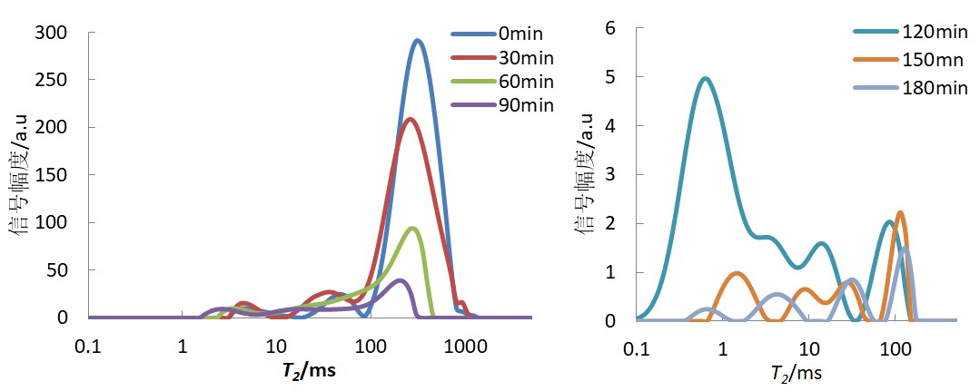 低场核磁共振法研究胡萝卜干燥过程的水分迁移
