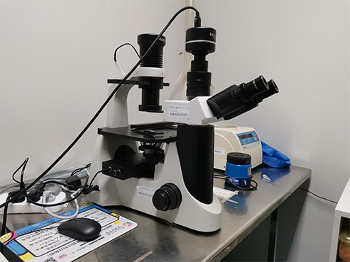 倒置荧光显微镜MF50.jpg